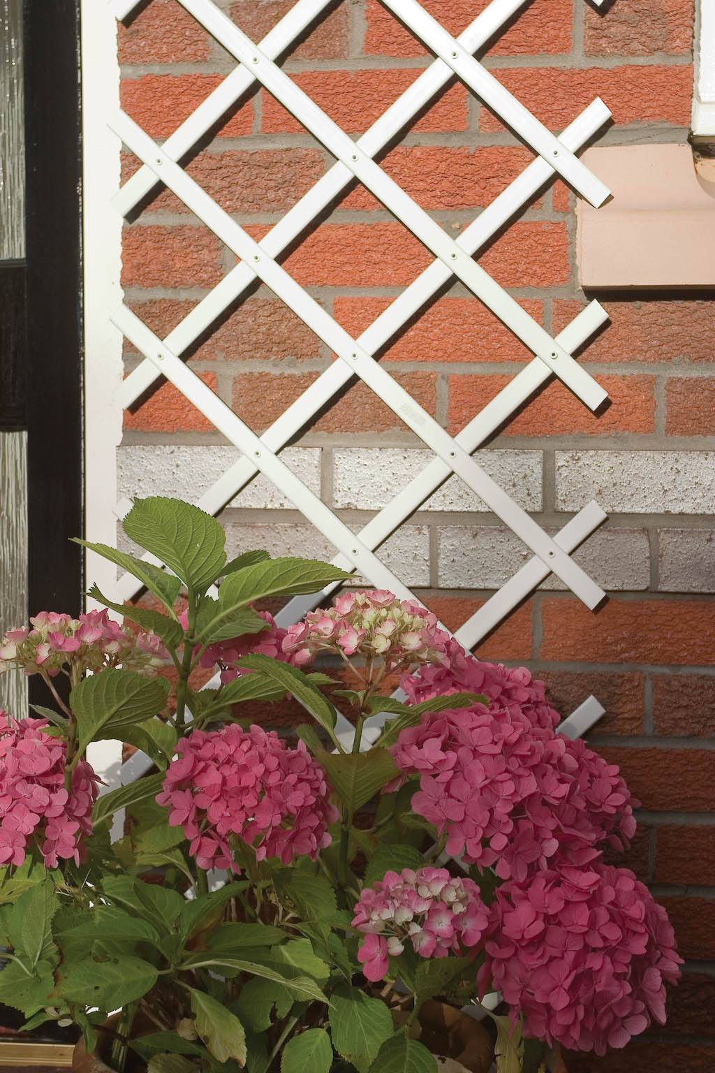 Plastic Wall Trellis